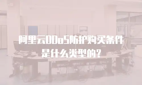 阿里云DDoS防护购买条件是什么类型的？