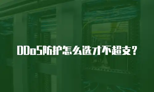 DDoS防护怎么选才不超支？