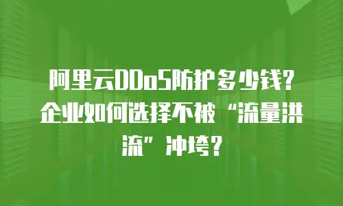 阿里云DDoS防护多少钱？企业如何选择不被“流量洪流”冲垮？