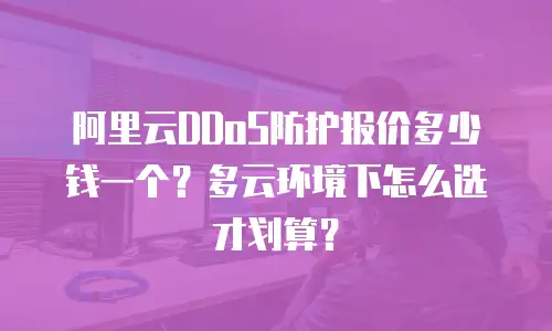 阿里云DDoS防护报价多少钱一个？多云环境下怎么选才划算？