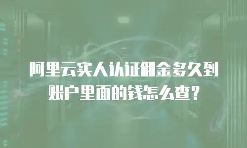 阿里云实人认证佣金多久到账户里面的钱怎么查？