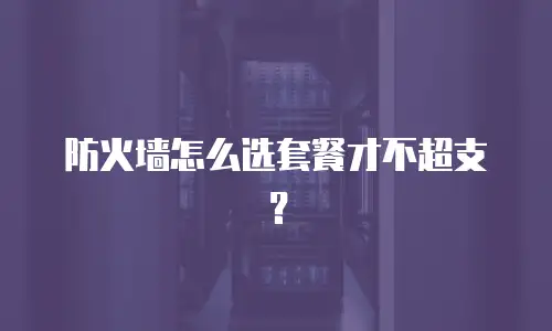 防火墙怎么选套餐才不超支？