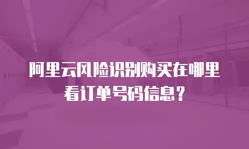 阿里云风险识别购买在哪里看订单号码信息？