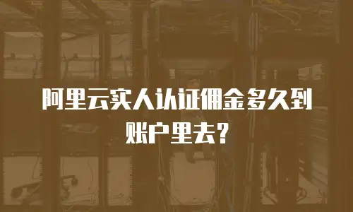 阿里云实人认证佣金多久到账户里去？