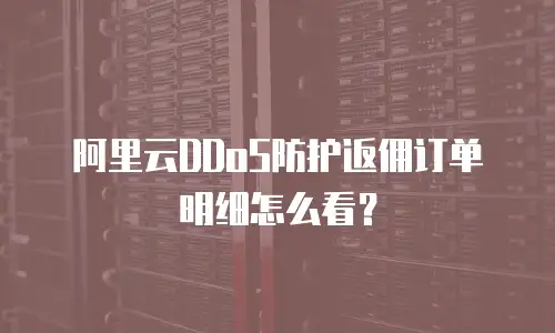 阿里云DDoS防护返佣订单明细怎么看？