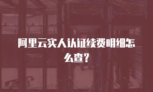 阿里云实人认证续费明细怎么查？