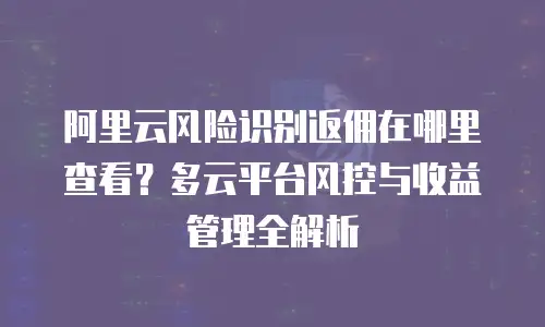 阿里云风险识别返佣在哪里查看？多云平台风控与收益管理全解析