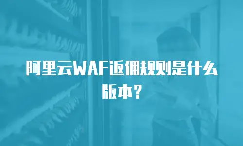 阿里云WAF返佣规则是什么版本？