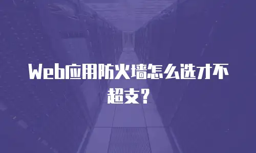 Web应用防火墙怎么选才不超支？