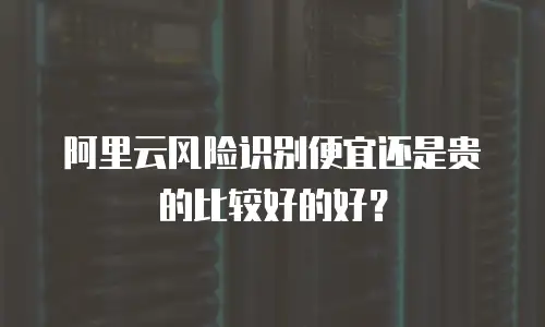 阿里云风险识别便宜还是贵的比较好的好？