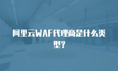 阿里云WAF代理商是什么类型？