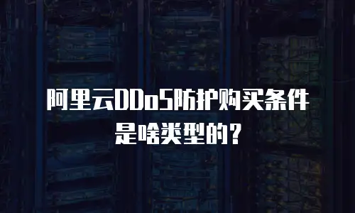 阿里云DDoS防护购买条件是啥类型的？