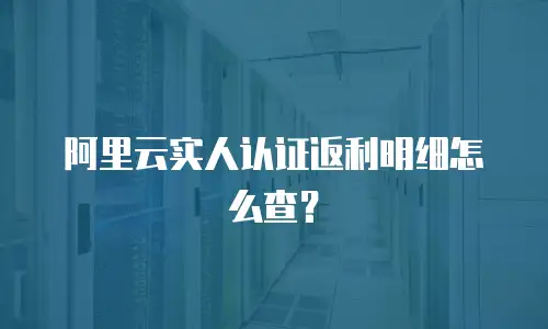 阿里云实人认证返利明细怎么查？