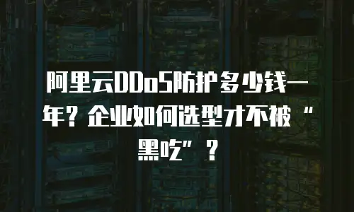 阿里云DDoS防护多少钱一年？企业如何选型才不被“黑吃”？