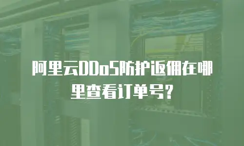 阿里云DDoS防护返佣在哪里查看订单号？