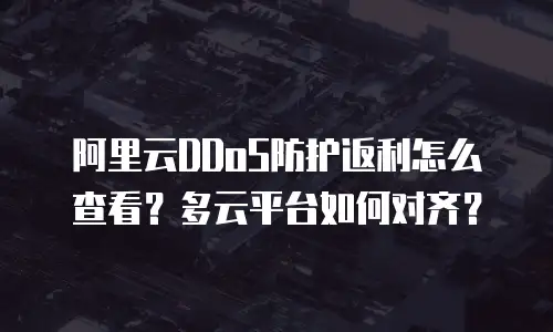 阿里云DDoS防护返利怎么查看？多云平台如何对齐？