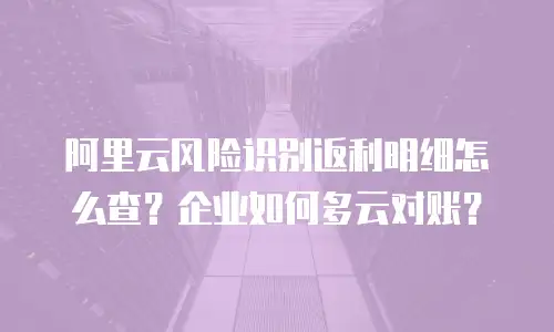 阿里云风险识别返利明细怎么查？企业如何多云对账？