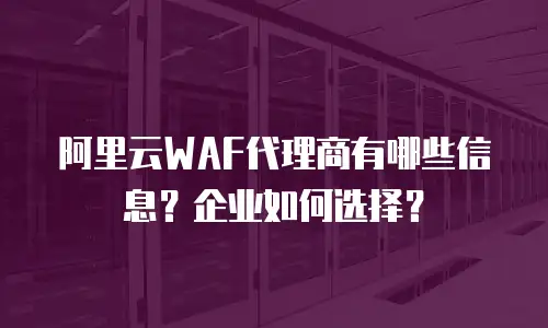 阿里云WAF代理商有哪些信息？企业如何选择？