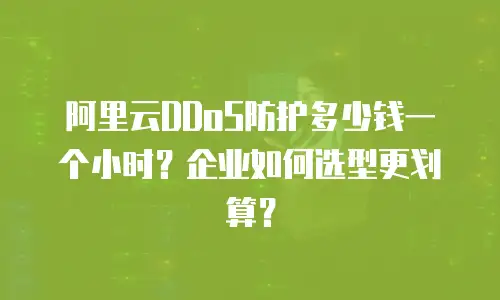 阿里云DDoS防护多少钱一个小时？企业如何选型更划算？