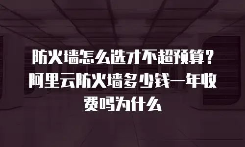 防火墙怎么选才不超预算？阿里云防火墙多少钱一年收费吗为什么