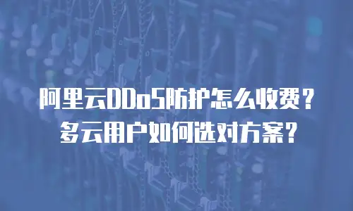 阿里云DDoS防护怎么收费？多云用户如何选对方案？