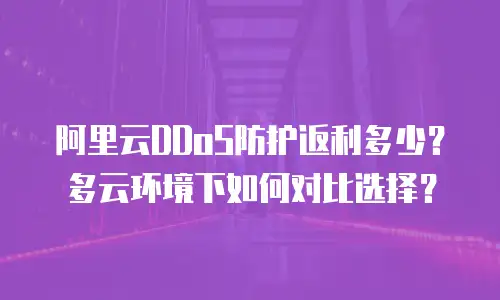 阿里云DDoS防护返利多少？多云环境下如何对比选择？