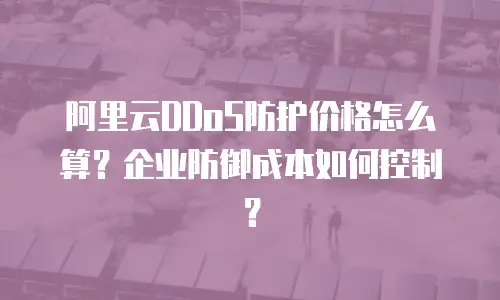 阿里云DDoS防护价格怎么算？企业防御成本如何控制？