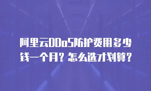 阿里云DDoS防护费用多少钱一个月？怎么选才划算？