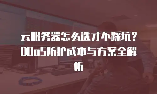 云服务器怎么选才不踩坑？DDoS防护成本与方案全解析