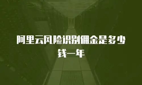 阿里云风险识别佣金是多少钱一年