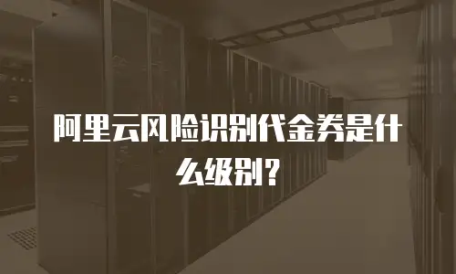 阿里云风险识别代金券是什么级别？