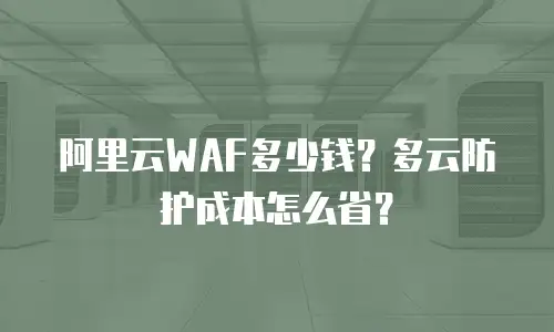 阿里云WAF多少钱？多云防护成本怎么省？
