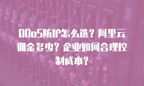 DDoS防护怎么选？阿里云佣金多少？企业如何合理控制成本？