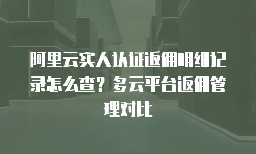 阿里云实人认证返佣明细记录怎么查？多云平台返佣管理对比