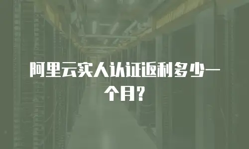 阿里云实人认证返利多少一个月？