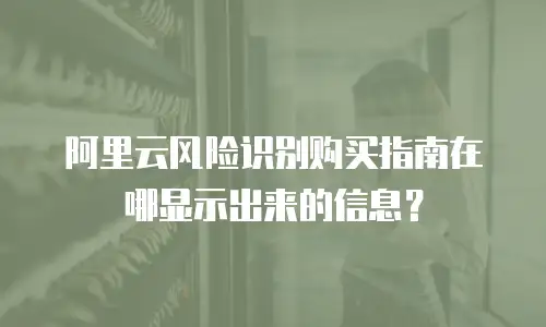 阿里云风险识别购买指南在哪显示出来的信息？