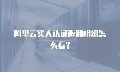 阿里云实人认证返佣明细怎么看？