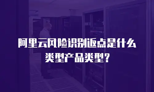 阿里云风险识别返点是什么类型产品类型？