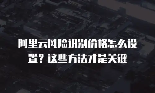 阿里云风险识别价格怎么设置？这些方法才是关键