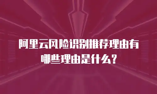 阿里云风险识别推荐理由有哪些理由是什么？