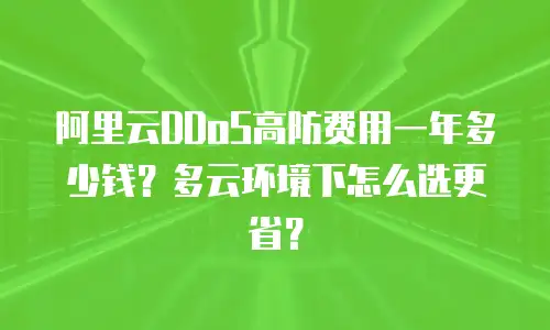 阿里云DDoS高防费用一年多少钱？多云环境下怎么选更省？