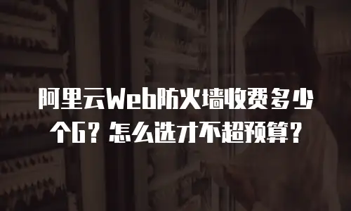 阿里云Web防火墙收费多少个G？怎么选才不超预算？