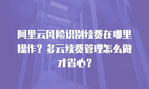 阿里云风险识别续费在哪里操作？多云续费管理怎么做才省心？
