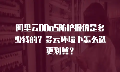 阿里云DDoS防护报价是多少钱的？多云环境下怎么选更划算？