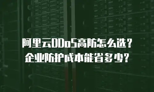 阿里云DDoS高防怎么选？企业防护成本能省多少？