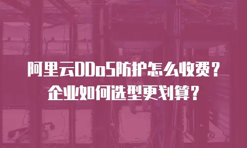 阿里云DDoS防护怎么收费？企业如何选型更划算？