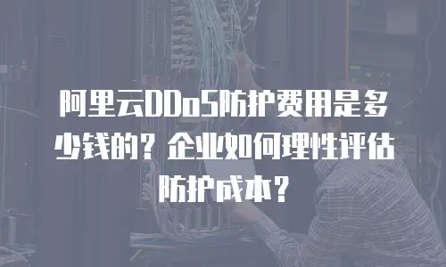 阿里云DDoS防护费用是多少钱的？企业如何理性评估防护成本？