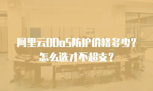 阿里云DDoS防护价格多少？怎么选才不超支？