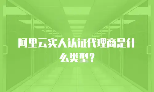 阿里云实人认证代理商是什么类型？