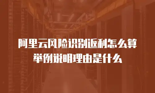 阿里云风险识别返利怎么算 举例说明理由是什么